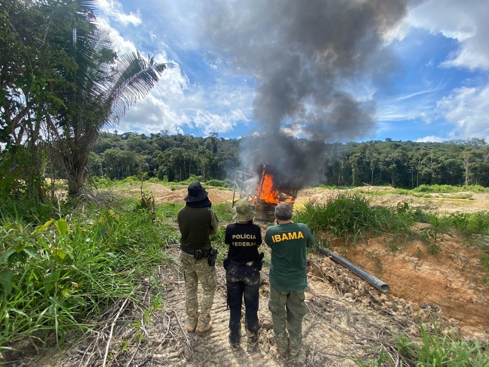PF RO deflagra operação Murici contra crimes ambientais em terra indígena