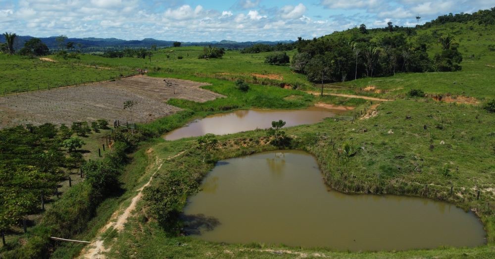 Investimento estimula agricultura familiar no setor Riachuelo, em Ji-Paraná