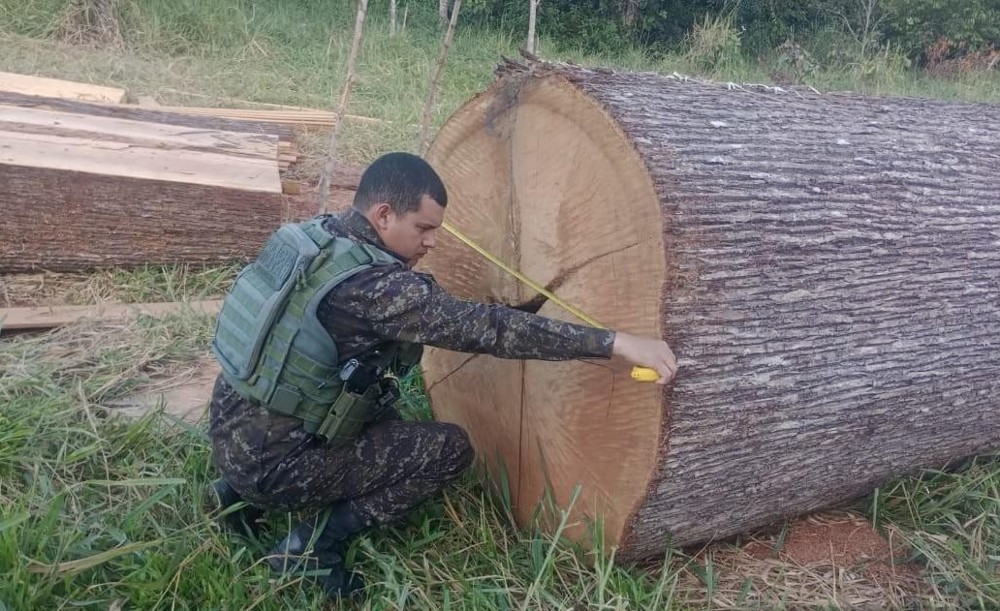 Batalhão Ambiental flagra homem desdobrando madeira ilegalmente